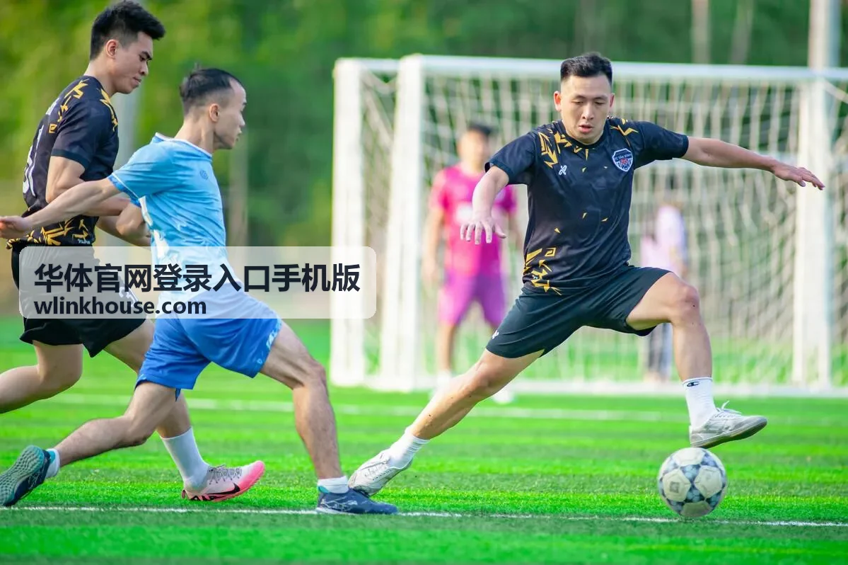 华体官网登录入口手机版登录异常与账号安全处理示意图