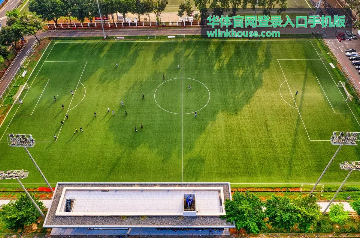 华体官网登录入口手机版登录后页面空白的缓存问题