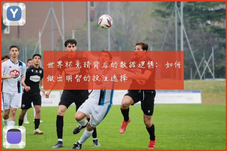 世界杯竞猜背后的数据逻辑：如何做出明智的投注选择