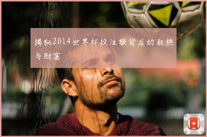 揭秘2014世界杯投注额背后的狂热与财富