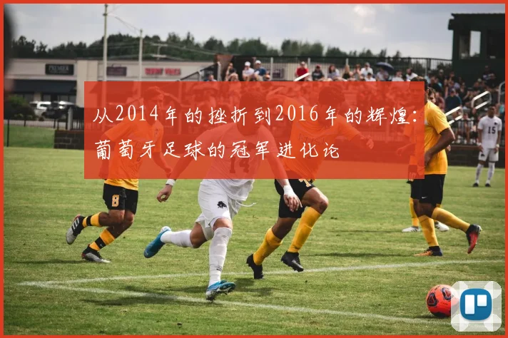 从2014年的挫折到2016年的辉煌：葡萄牙足球的冠军进化论