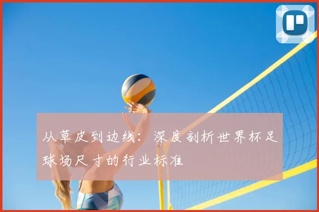 从草皮到边线：深度剖析世界杯足球场尺寸的行业标准