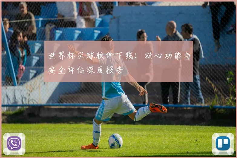 世界杯买球软件下载：核心功能与安全评估深度报告