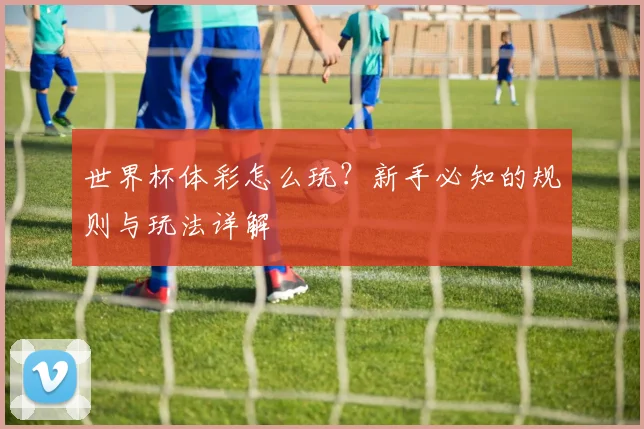 世界杯体彩怎么玩？新手必知的规则与玩法详解